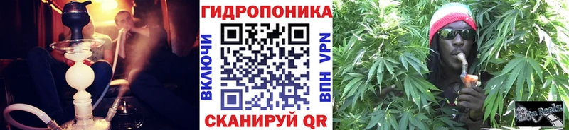 сколько стоит даркнет Telegram Бошки марихуана гибрид Чехов